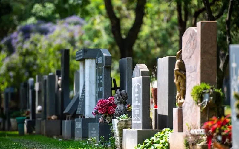 Rows of granite headstones with flowers and small statues on a green lawn, under trees and a flowering jacaranda, at one of Calgro M3's memorial parks